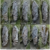 musch cribrellum pupa7 volg111